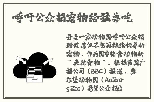 上色app安卓版